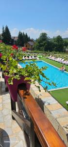 a bench with a plant on it next to a swimming pool at Apt in the Sky - Kopaonik Kraljevi Čardaci in Kopaonik