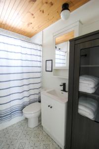 a bathroom with a toilet and a sink and a mirror at Repère d'Eastman (accès au lac/foyer/randonnée) in Eastman