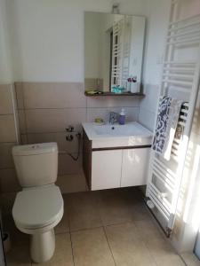ein Badezimmer mit einem WC, einem Waschbecken und einem Spiegel in der Unterkunft Charming flat, city center with free parking in Varaždin