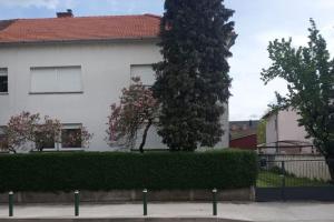 Una casa blanca con un árbol delante. en Charming flat, city center with free parking, en Varaždin