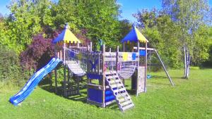 einen Spielplatz mit Rutsche im Gras in der Unterkunft La Demeure d'Othe in Sormery