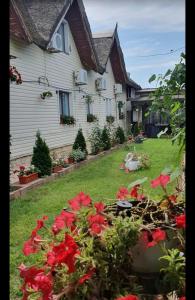 una casa con flores rojas delante de un patio en Hanul Pescarilor, en Mila Douăzeci şi Trei