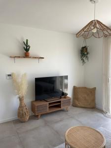 a living room with a fireplace and a tv at Les Lodges de Saint Brice 2 in Arès