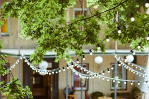 a string of lights hanging from a tree at Downtown Forest Hostel & Camping in Vilnius