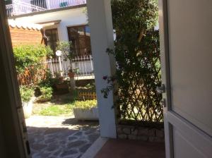 Zahrada ubytování Hotel Edera