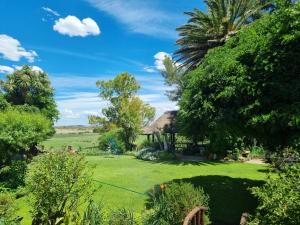 a garden with a palm tree and a house at Garingboom Guest Farm in Springfontein