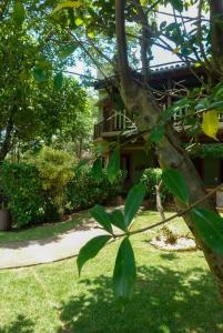 a view of a house from behind a tree at Pousada Canto Verde in Tiradentes