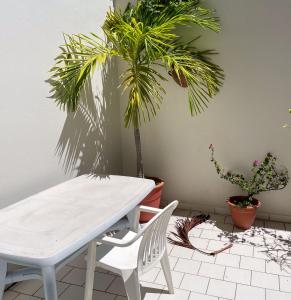 a white table and chairs in a room with plants at Salines Studios in Sainte-Anne