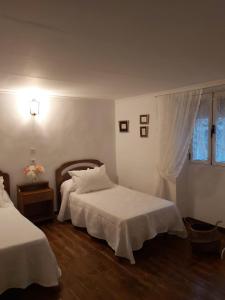 een slaapkamer met 2 bedden en een raam bij ALOJAMIENTO TURISTICO LAS SOLANERAS in Solana del Pino