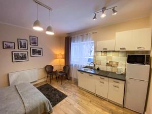 Kuchyňa alebo kuchynka v ubytovaní Mokka Apartament