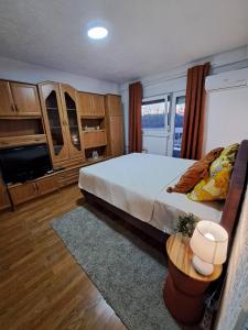 Kostolac的住宿－Apartment White Angel，一间卧室配有一张大床和电视