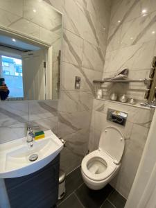 a bathroom with a white toilet and a sink at Alexander House in London