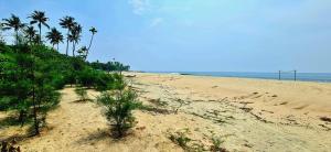 Gallery image of The Frangipani Marari Beach in Mararikulam