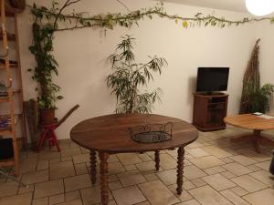 a room with a table and some plants and a tv at Tête d'Or Forest in Villeurbanne