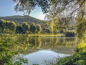 a view of a lake with a mountain in the background at le Clos in Chambourg-sur-Indre