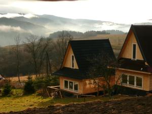 a house with a black roof on a hill at Domki na Polach Piwniczna-Zdrój in Piwniczna