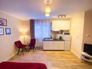 Kuchyňa alebo kuchynka v ubytovaní Mokka Apartament