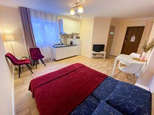 Kuchyňa alebo kuchynka v ubytovaní Mokka Apartament
