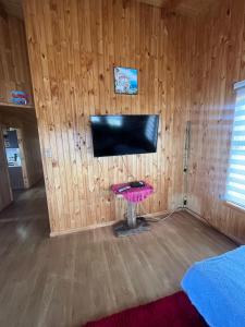 Zimmer mit einem TV an einer Holzwand in der Unterkunft Los Dudys in Castro