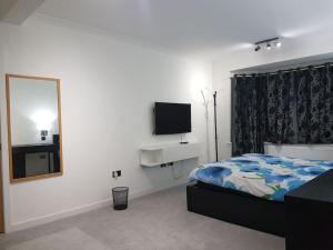 1 dormitorio con cama, espejo y TV en Contemporary ground flr maisonette- Entire place en Northwood