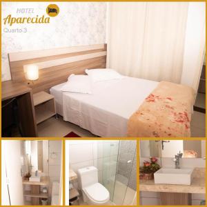 ein Hotelzimmer mit einem Bett, einem WC und einem Waschbecken in der Unterkunft HOTEL APARECIDA in Rodeio Bonito