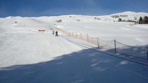 Lescha C2C pozimi