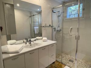 a bathroom with a sink and a shower at Villa Caprice à l'orée des bois in Aspres-sur-Buëch
