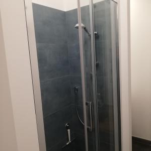 a shower with a glass door in a bathroom at Casa Pinturicchio in Rome