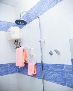 La salle de bains est pourvue d'une douche avec du carrelage bleu et blanc. dans l'établissement DOMINGO VILLA, à Dar es Salaam