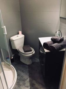 a bathroom with a toilet and a sink and a shower at (Nouvelles literie)ménage gratuit in Bayonne