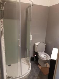 a bathroom with a toilet and a glass shower at (Nouvelles literie)ménage gratuit in Bayonne