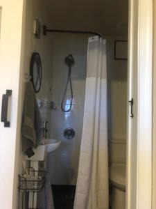 een badkamer met een douchegordijn en een wastafel bij Mansfield St in Fredericksburg