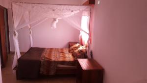 1 dormitorio con cama con dosel y ventana en Villa CALI SIERRA, en Sambava