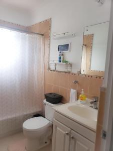 a bathroom with a toilet and a sink and a mirror at Comfortable & Secure Chateau in Kingston