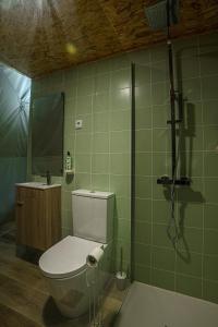 a bathroom with a toilet and a shower at Manteiros Glamping in Canas de Senhorim