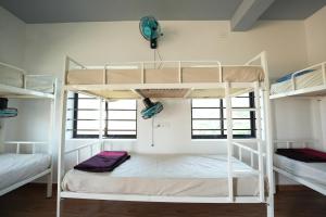 Ce dortoir comprend 2 lits superposés et 2 fenêtres. dans l'établissement Borrbo Beach Hostel Gokarna, à Gokarna