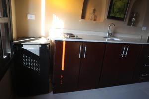 ルクソールにあるL’Aziza Houseのシンクと食器洗い機付きのキッチン +11枚の写真