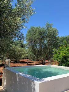 a swimming pool with blue water and trees in the background at Casa Trullo Bianco: Casa Limone in Ceglie Messapica