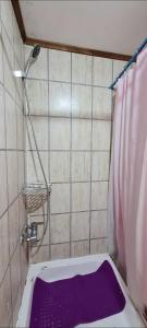 baño con cortina de ducha púrpura y aseo en Cabaña Puerto Williams, en Puerto Williams