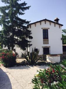 een wit huis met een boom ervoor bij Casa Gavenniae in Nocciano
