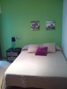サンティアゴ・デ・コンポステーラにあるApartment Hortasのベッドルーム1室(紫色の枕が付いたベッド1台付)