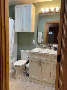 bagno con servizi igienici, lavandino e specchio di Bixby Cove Cabin #1 a Porum