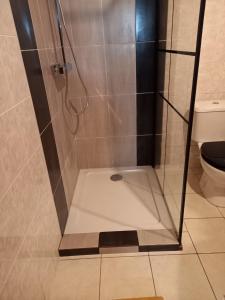 um chuveiro na casa de banho com WC em Maison Landes - Gite 4 personnes em Latouille-Lentillac
