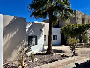 un edificio con una palmera delante de él en Casa Loma Bella 1 con Alberca Privada Vista Increible en San Carlos