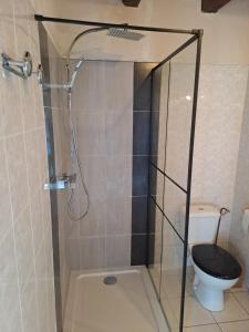 uma casa de banho com chuveiro e WC em Maison Landes - Gite 4 personnes em Latouille-Lentillac