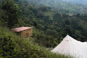 a tent on the side of a hill with a mountain at Glamping Quindio in Córdoba