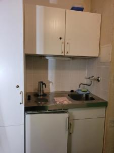 a kitchen with a sink and a counter top at Mitterdorf - apartmán Almberg in Philippsreut