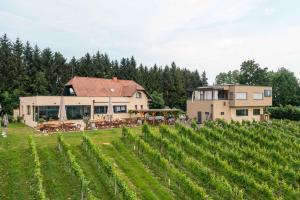 a house in the middle of a field of vines at Weingut Zweytick Lodge Vinoment in Ehrenhausen