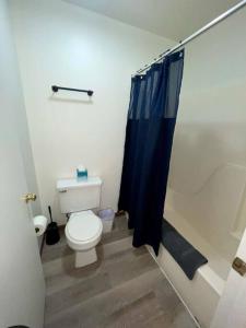 La salle de bains est pourvue de toilettes et d'un rideau de douche bleu. dans l'établissement Unit 15 - Stand Rock, à Wisconsin Dells