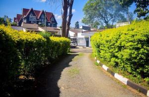 un camino de tierra que conduce a una casa con arbustos en Trinity Garden en Nairobi